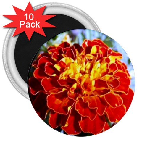 The Red Flowers  3  Magnet (10 pack) from UrbanLoad.com Front