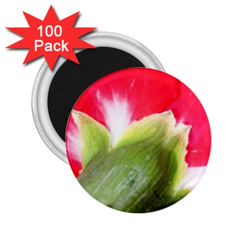 The Red Flower 2  2.25  Magnet (100 pack)  from UrbanLoad.com Front