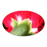 The Red Flower 2  Magnet (Oval)