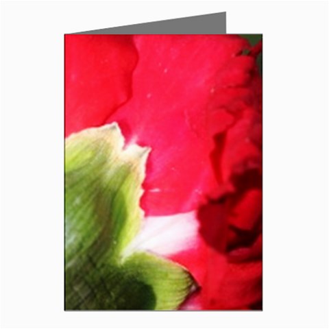 The Red Flower 2  Greeting Cards (Pkg of 8) from UrbanLoad.com Left