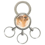 Brussels Griffon 3-Ring Key Chain