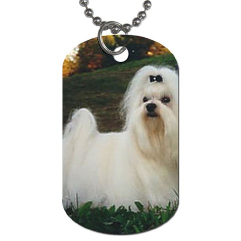 Maltese Dog Tag (One Side) from UrbanLoad.com Front