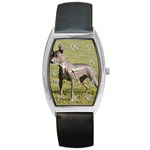 Mexican Hairless Barrel Style Metal Watch