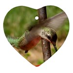 Hummingbird Ornament (Heart)