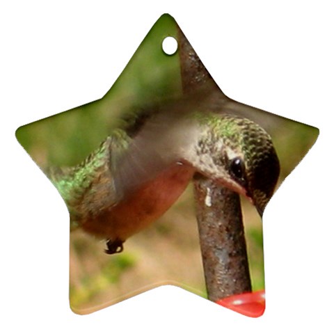 Hummingbird Ornament (Star) from UrbanLoad.com Front