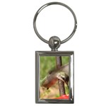 Hummingbird Key Chain (Rectangle)