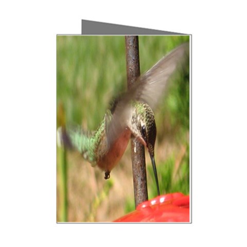 Hummingbird Mini Greeting Cards (Pkg of 8) from UrbanLoad.com Left