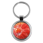 9-700-Fwallpapers_068 Key Chain (Round)