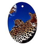 2-74-Animals-Wildlife-1024-007 Ornament (Oval)