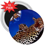 2-74-Animals-Wildlife-1024-007 3  Magnet (10 pack)