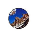 2-74-Animals-Wildlife-1024-007 Hat Clip Ball Marker
