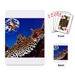 2-74-Animals-Wildlife-1024-007 Playing Cards Single Design