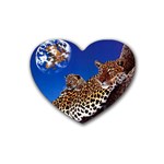2-74-Animals-Wildlife-1024-007 Heart Coaster (4 pack)