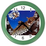 2-74-Animals-Wildlife-1024-007 Color Wall Clock