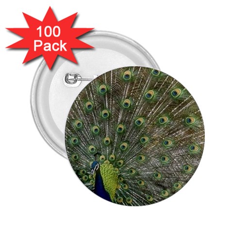 bird_15 2.25  Button (100 pack) from UrbanLoad.com Front