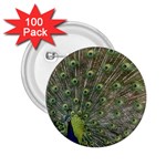 bird_15 2.25  Button (100 pack)