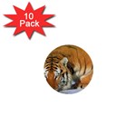 tiger_4 1  Mini Button (10 pack) 