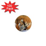 tiger_4 1  Mini Magnet (100 pack) 