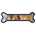 tiger_4 Magnet (Dog Bone)