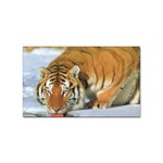 tiger_4 Sticker Rectangular (100 pack)
