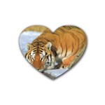 tiger_4 Heart Coaster (4 pack)