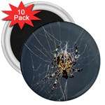 The Web Master 3  Magnet (10 pack)