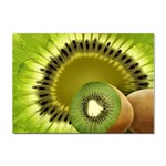 Kiwifruit Sticker A4 (10 pack)