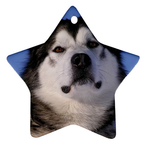 Alaskan Malamute Dog Ornament (Star) from UrbanLoad.com Front