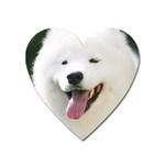 American Eskimo Dog Magnet (Heart)