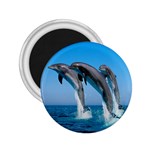 Dolphins Dancing 2.25  Magnet