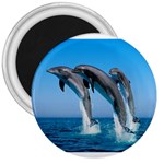 Dolphins Dancing 3  Magnet