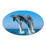 Dolphins Dancing Magnet (Oval)