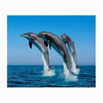 Dolphins Dancing Glasses Cloth (Small, Two Sides)
