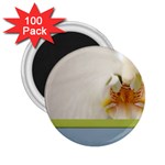Wedding Orchid 2.25  Magnet (100 pack) 