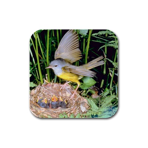 Chicks Feeding Bird Rubber Square Coaster (4 pack) from UrbanLoad.com Front