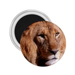 Lion 0006 2.25  Magnet