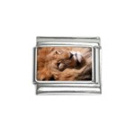 Lion 0006 Italian Charm (9mm)