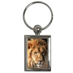 Lion 0008 Key Chain (Rectangle)