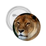 Lioness 0009 2.25  Button