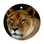 Lioness 0009 Ornament (Round)