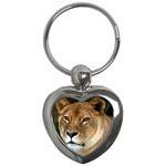 Lioness 0009 Key Chain (Heart)