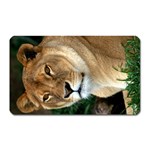 Lioness 0009 Magnet (Rectangular)