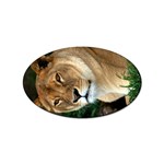 Lioness 0009 Sticker Oval (10 pack)