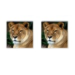 Lioness 0009 Cufflinks (Square)