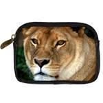 Lioness 0009 Digital Camera Leather Case