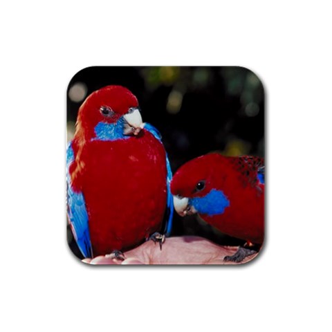 Parrots Bird D8 Rubber Square Coaster (4 pack) from UrbanLoad.com Front