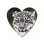 Snow Leopard Magnet (Heart)