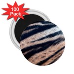 Tiger Skin 2.25  Magnet (100 pack) 