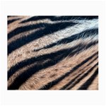 Tiger Skin Glasses Cloth (Small)
