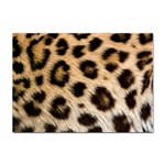 Leopard Skin Sticker A4 (100 pack)